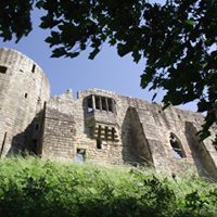 Image may contain: sky, tree, plant, grass, cloud, outdoor and nature