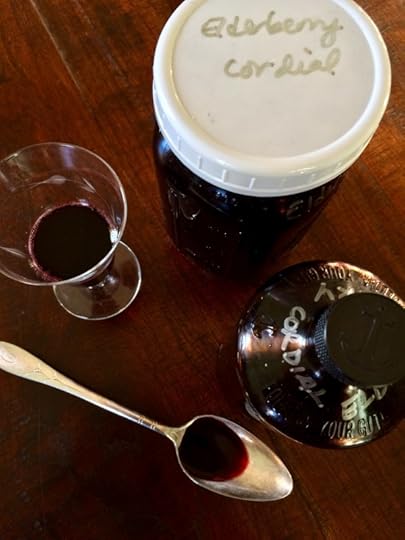 Elderberry cordial ~ {bits & pieces} ~ Like Mother, Like Daughter
