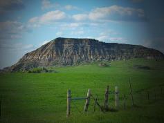 Commercial Photography