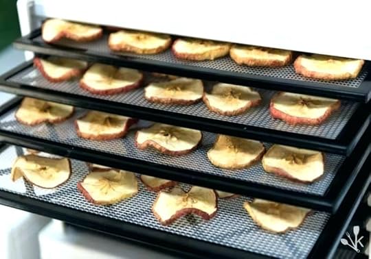 food dehydrator reviews food dehydrator reviews review black food dehydrator reviews 2017