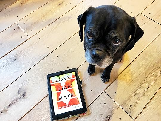 dinh, linh - love like hate