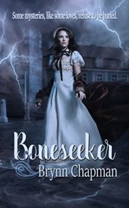 Boneseeker by Brynn Chapman