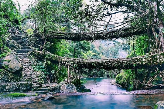 Double Decker Living Root Bridges of Meghalaya