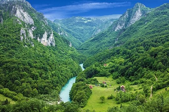 Mountain river Tara and forest in Montenegro