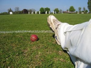 Game of cricket