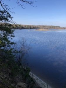 Life black and white