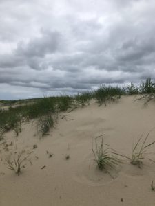 Logic and Emotion Coexist