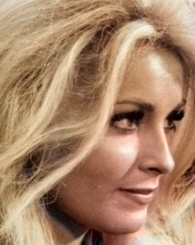 Sharon Tate