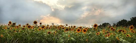 Mary Oliver | Sunflower| www.patriciabaileyauthor.com
