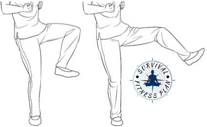 24 Wing Chun Kicks Trainings, Survival Fitness Plan