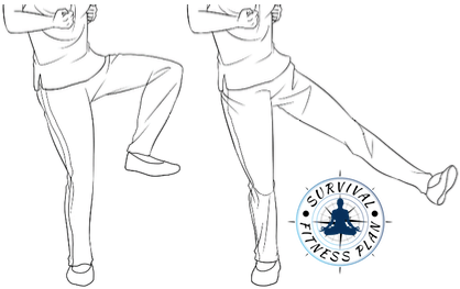 25 Wing Chun Kicks Trainings, Survival Fitness Plan