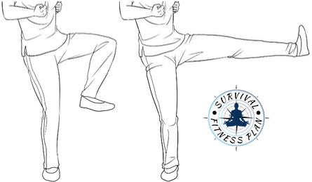 26 Wing Chun Kicks Trainings, Survival Fitness Plan