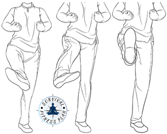 28 Wing Chun Kicks Trainings, Survival Fitness Plan