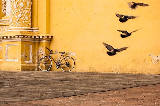 Pigeons take flight next to a bicycle leaning against a yellow church wall in Antigua, Guatemala