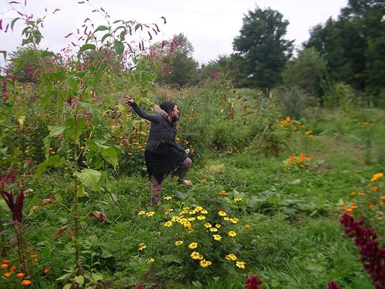 learn permaculture for free