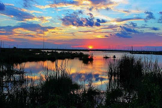Louisiana bayou at sunset