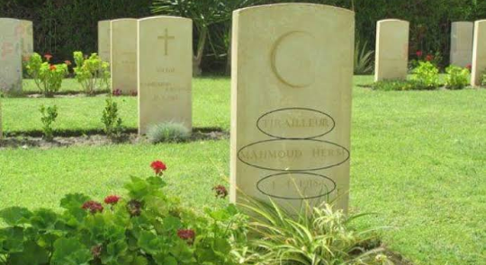 Screenshot-2019-01-25-11-31-05-1