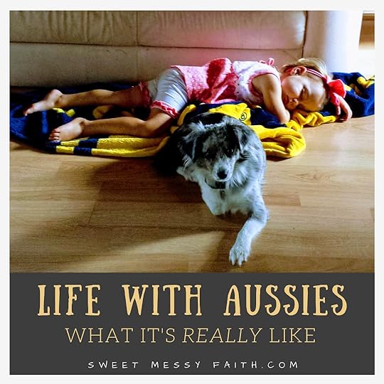 What's it really like to own an Australian Shepherd?