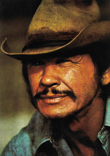 Charles Bronson in Breakout (1975)