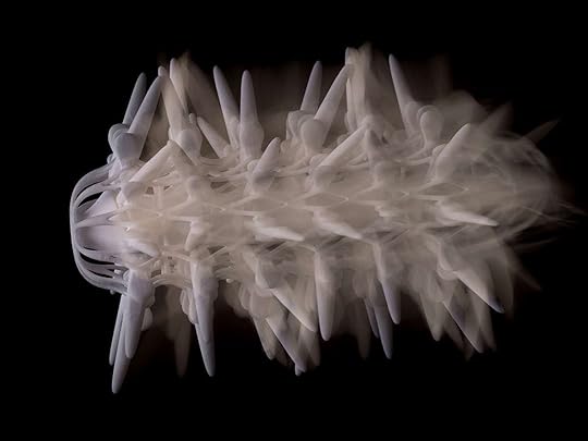 Lead_Ready-to-Crawl---Image-©-KATO-Yasushi