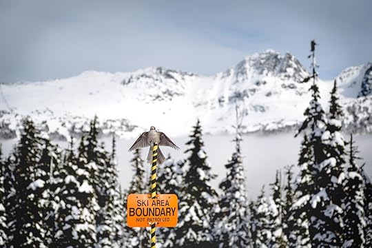 Whiskey Jack bird sitting atop a ski boundary sign with Blackcomb Mountain in the background