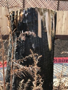 pre-fab house, Sonoma County fires, what's a pre-fab house, pre-fab house a quality house, how do they land a pre-fab house? Coffey Park, how do you know if a pre-fab house is right for you?