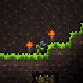 Image result for natures gift terraria