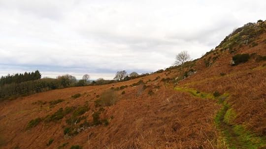 Hillside with ponies