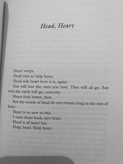 51434280-2520031631387279-7952339970990014464-o