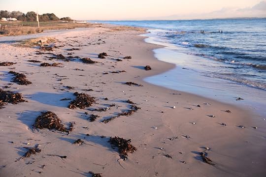 Aarhus beach, Denmark