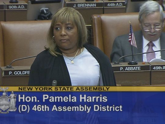 Assemblywoman Pamela Harris, D-Brooklyn, speaks during
