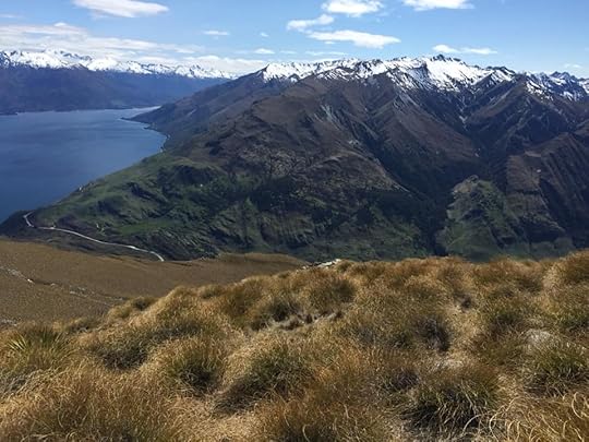 Lake Wanaka from Isthmus Peak