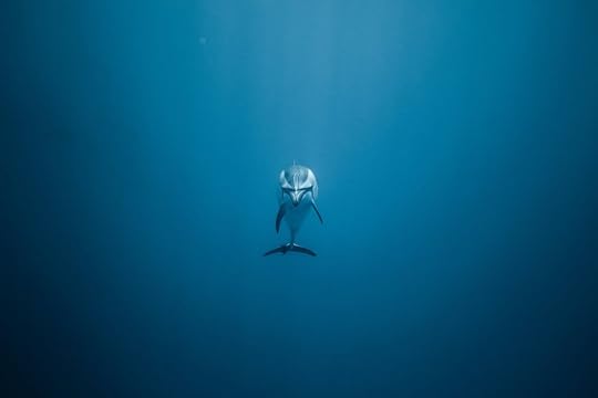 jeremy-bishop-767938-unsplash.jpg