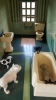 Dollhouse bathroom with manatee in bathtub and cat on rim.