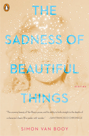 Image result for the sadness of beautiful things