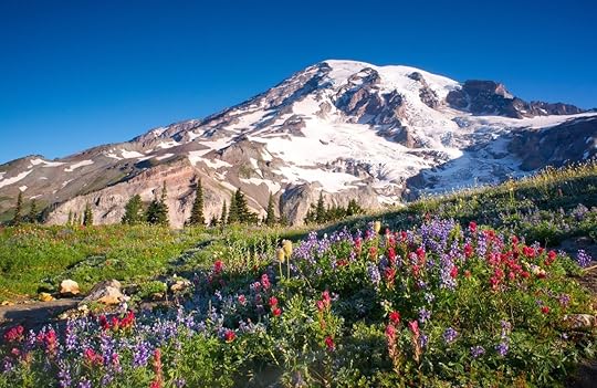 Mount Rainier National Park, Washington