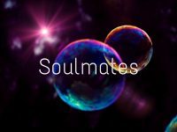 Soulmates report
