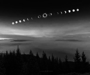 Image result for aesthetic