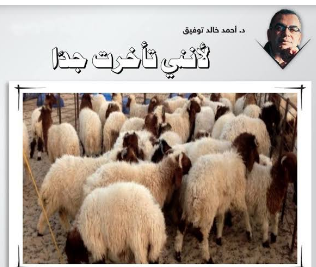 Screenshot-2019-02-10-19-45-40-1