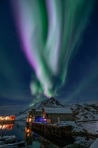 Magical Auroras in Colorful Vesterålen, Norway