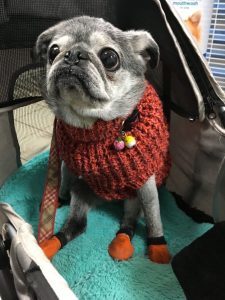 IMG_5403