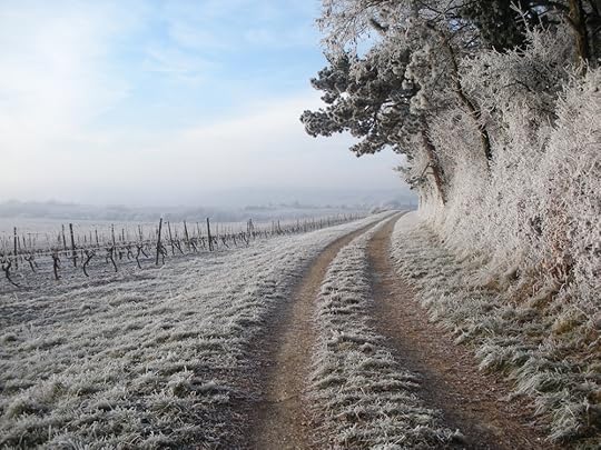 DSCN3557.jpg