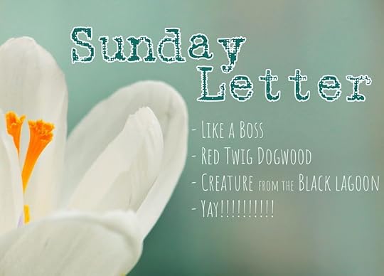 Sunday Letter