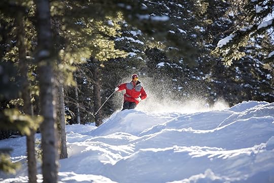 Skier on moguls in Santa Fe