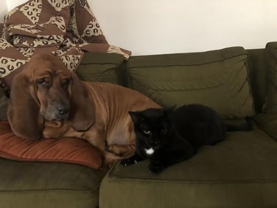 I have no idea what they’re looking at.