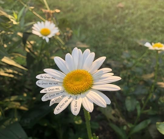 He Loves Me, He Loves Me Not