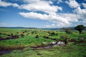 African Safari in Tanzania by Brec Bassinger with G Adventures