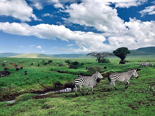 African Safari in Tanzania by Brec Bassinger with G Adventures