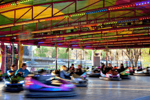 Is Your Life Like Riding the Bumper Cars at the Fair? Living a Purposeful Life
