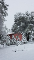 Red barn in snowy woods